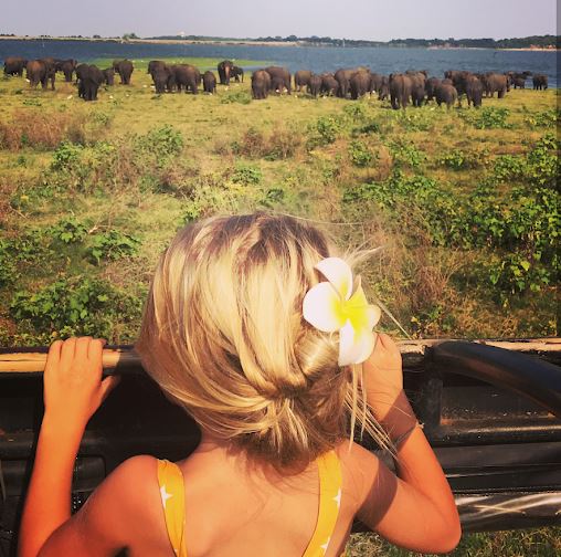 kaudulla full day safari 