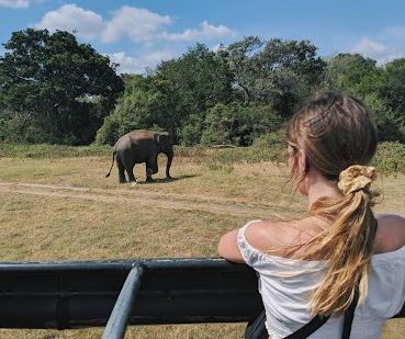 kaudulla safari tour